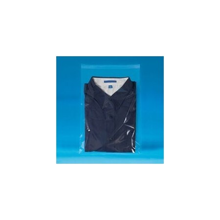 Bubblefast 1000-13 x 13'' - 1.5 Mil Resealable Polypropylene Bags, 1000PK BFPBR135