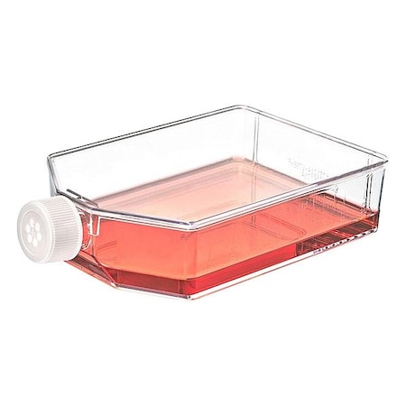 Zoro Select Plastic Flasks, Colorless, PK25 TC-FLSK-225-V-NT