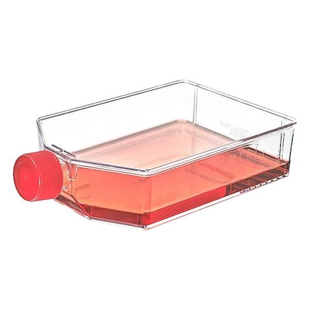 Zoro Select Plastic Flasks, Colorless, PK25 TC-FLSK-225-P