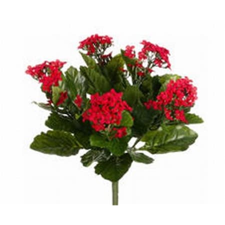 Allstate 13.5 in. Red Kalanchoe Bushes X5-, 6PK FBK107-RE