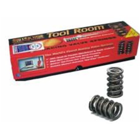 Araba Vector 9965 1.560 in. Valve Springs AR1391201