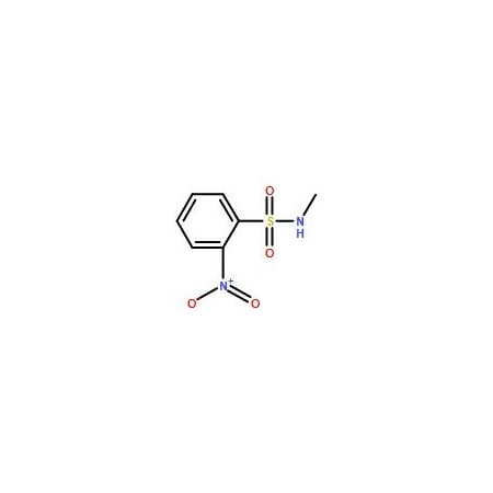 Ak Scientific N-Methyl-2-nitrobenzenesulfonamide (1g), CAS 23530-40-7 Y6138-1g