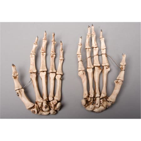 Toys4.0 Aged Left Skeleton Hand TO2652386