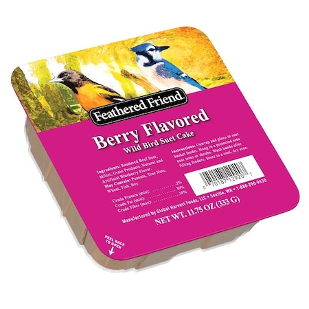 Audubon Park 13066 Cracked Corn Berry Treat Suet, 11.75 oz, Box 14374