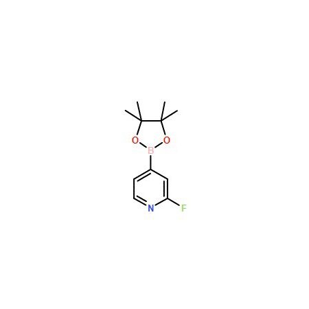 Ak Scientific 2-Fluoropyridine-4-boronic acid pinacol ester (5g), CAS 458532-86-0 Y9155-5g