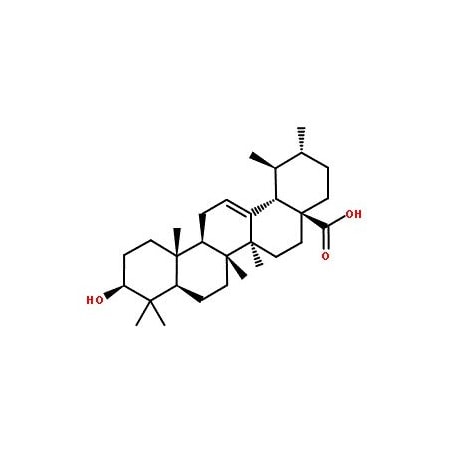 Ak Scientific Ursolic acid (5g), CAS 77-52-1 H719-5g