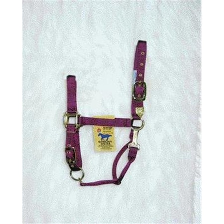 Hamilton Halter Co - Adjustable Chin Halter With Snap- Wine Average - 1DAS AVWN 347310