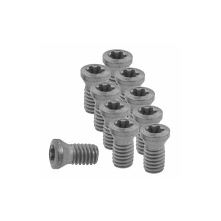 Garant Set of Insert Screws, 10 Pieces 219811