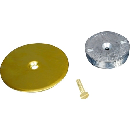 Wiremold Abandon Plate, Brown, Brass 1043B