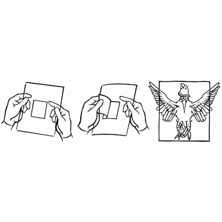 Jorgensen Laboratories Avian Adhesive Drape, 44"x44", Sterile, 5PK J0259X