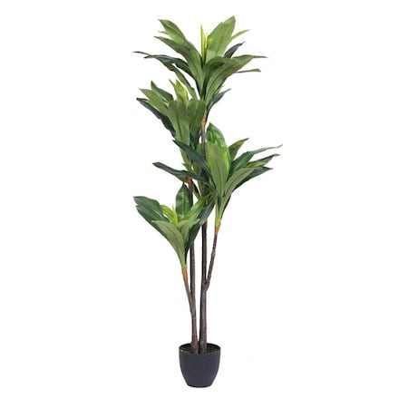 Vickerman Real Touch Dracaena X5 Everyday Tree with 68 LVS in - 60 in. T160965