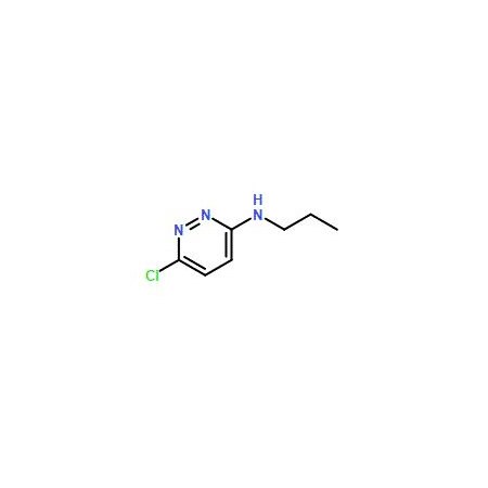 Ak Scientific 6-Chloro-N-propylpyridazin-3-amine (25g), CAS 951885-19-1 4211AF-25g