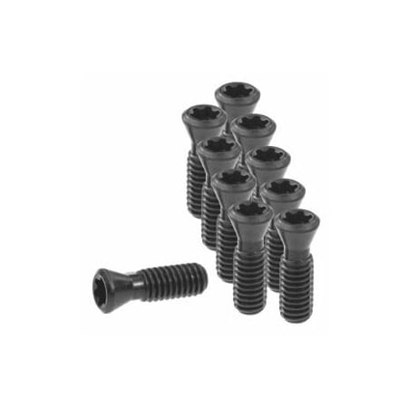 Garant Set of Insert Screws, 10 Pieces 219821