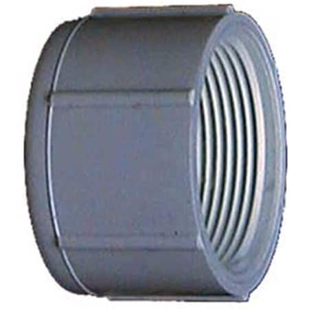 Genova 1.25 in. PVC Sch. 40 Threaded Caps 30169