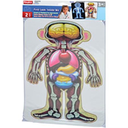 Roylco First Look Inside Me - Assorted Colors RYLR59258