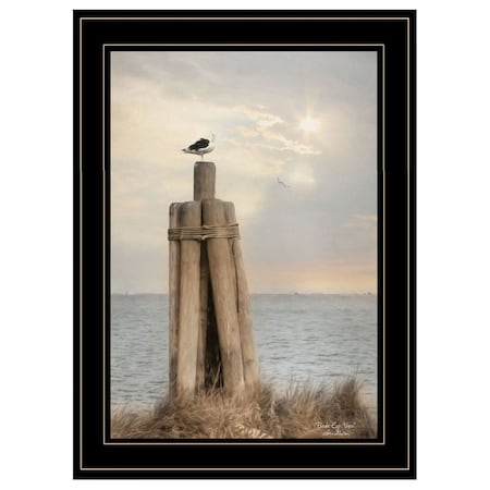 Homeroots Birds Eye View 3 Black Framed Print Wall Art 406927