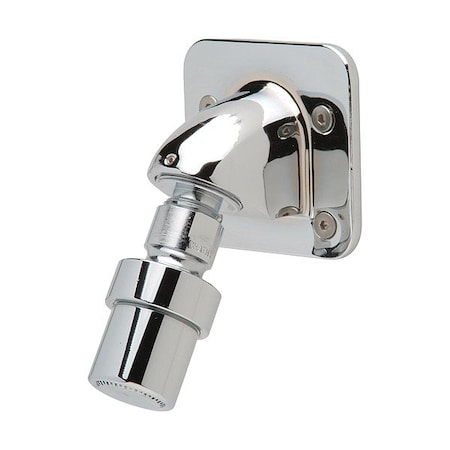 Zurn Fixed Showerhead, 1/2 in Sz, 3 1/2 in W Z7000-I7