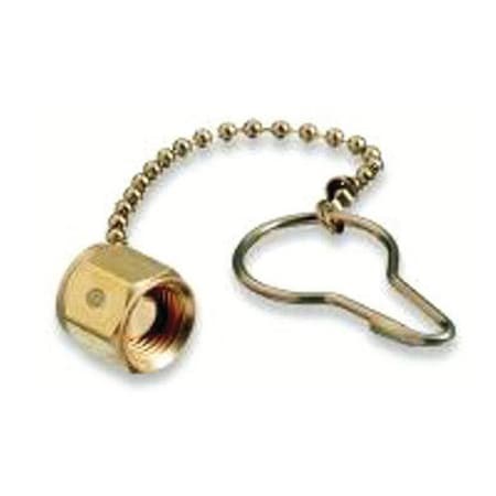 Homestead We Cp-580 Chain & Plug HO430933