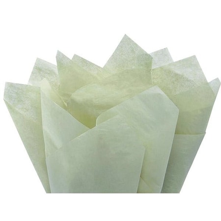 Nashville Wraps Soft Pine Green Color Tissue Paper, 20x30, 24 Soft Fold Sheets, 24PK CTQSP