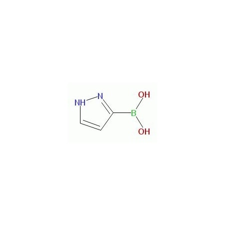 Ak Scientific (1H-Pyrazol-3-yl)boronic acid (1g), CAS 376584-63-3 W5854-1g