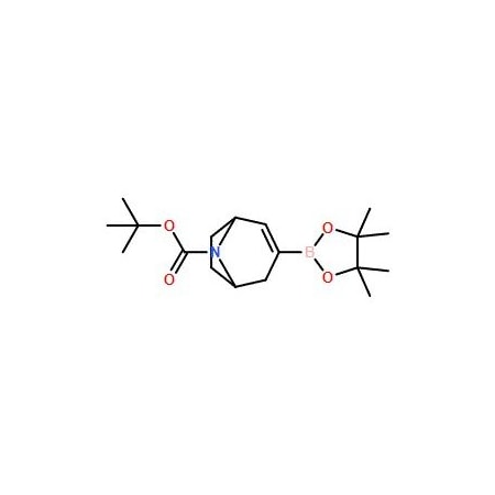Ak Scientific 8-Boc-8-azabicyclo[3.2.1]oct-3-ene-3-boronic acid pinacol ester (250mg), CAS 900503-08-4 W9283-250mg