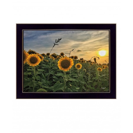 Homeroots Midwest Living I Black Framed Print Wall Art 416211
