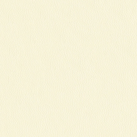 Abbeyshea Vanilla, Polyurethane Coated Faux Leather Fabric, 9 in L, 9 in W KENDR61M9X9