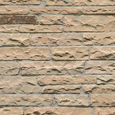 Msi Fossil Rustic Sample Random Sized Natural Sandstone Loose Veneer Ledgestone ZOR-PNL-0183-SAM