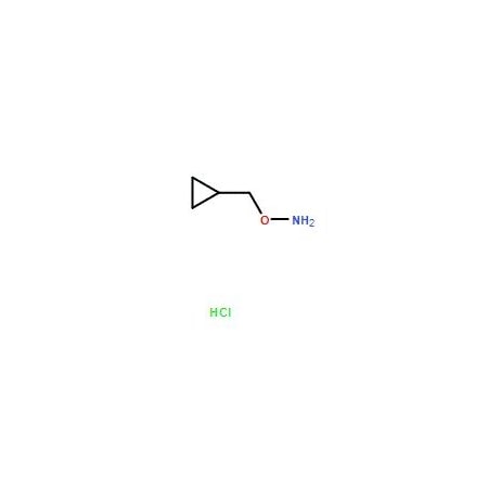 Ak Scientific O-(Cyclopropylmethyl)hydroxylamine hydrochloride (1g), CAS 74124-04-2 1506AC-1g