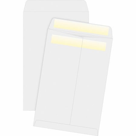 Business Source Filing Envelope, White, Paper, PK100 BSN04647