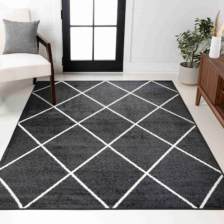 Jonathan Y Cole Minimalist Diamond Trellis Black/White 3 ft. x 5 ft. Area Rug SEU102A-3