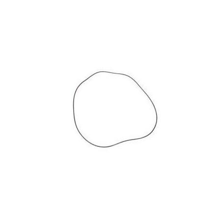 Genie REPLACEMENT O-RING 218354