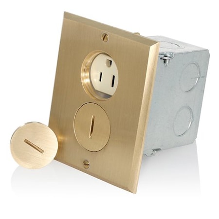 Leviton Plugs and Receptacles 25249-FBA