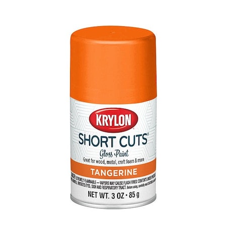 Krylon Spray Paints - Craft & Hobby Spray Paint KSCS08100