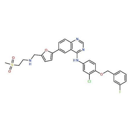 Ak Scientific Lapatinib (5g), CAS 231277-92-2 Q570-5g