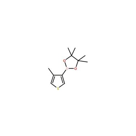 Ak Scientific 4-Methylthiophene-3-boronic acid pinacol ester (250mg), CAS 476620-20-9 X0827-250mg