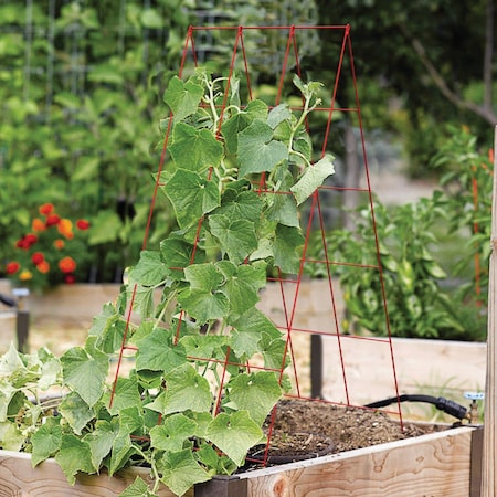 Panacea 48'' H. Red Hvy Dty Wire A-Frame Plant Support 83711