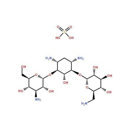 Ak Scientific Kanamycin monosulfate, 760ug/mg, USP (1g), CAS 25389-94-0 E526-1g