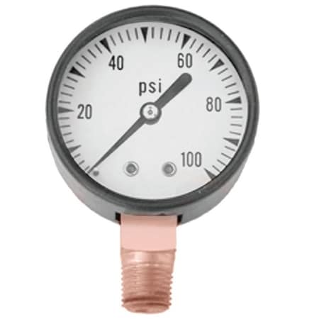 Simmons Simmons 1305 Pressure Gauge, MPT, 2 in Dial, Steel Gauge Case 1305