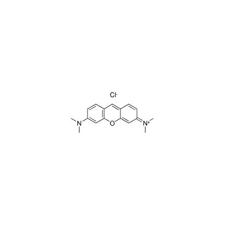 Ak Scientific Pyronin Y, Certifiable Grade (1g), CAS 92-32-0 M869-1g