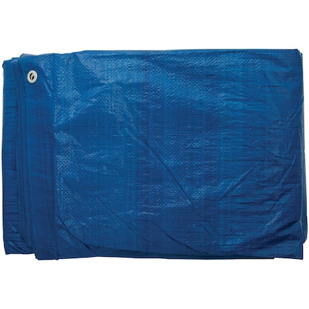 Do It Best Blue Woven 30 Ft. x 40 Ft. General Purpose Tarp 767922