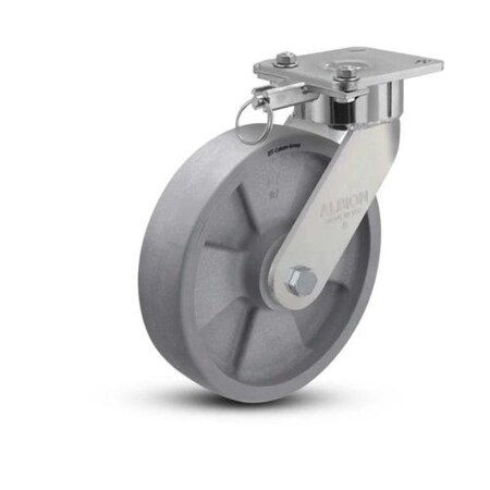 Albion Caster, Maintenance-Free, 8x2, 28DT08228SL 28DT08228SL
