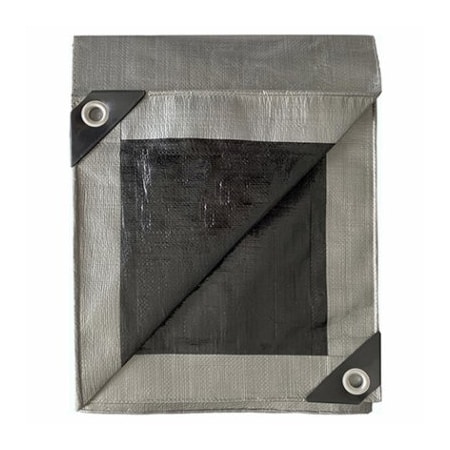 Itm Co. Ltd TG10x12 SLV/BLK Tarp HD-GT-SB-1012