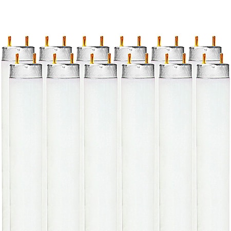Luxrite F32T8/850 32W 48 Inch T8 Fluorescent Tube Light Bulb, 5000K Bright White, 2800 Lumens, G13, 12PK LR20734