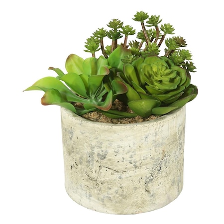 Vickerman 8 in. Succulent Arrangement FE073201