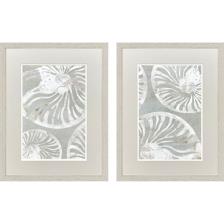 Homeroots Set Of Two Nautilus Shell Distressed White Framed Wall Art, 2PK 653906