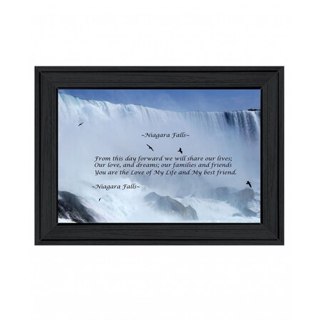 Homeroots Niagara Falls Black Framed Print Wall Art 407828
