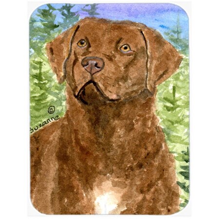 Carolines Treasures Chesapeake Bay Retriever Glass Cutting Board- Large SS8933LCB