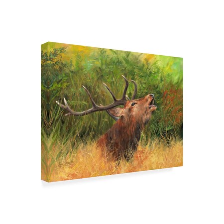 Trademark Fine Art Outdoor Canvas Art - David Stribbling 'Red Deer in Field' Wall Art for Patios, or Gardens GRL00448-OC1824WR