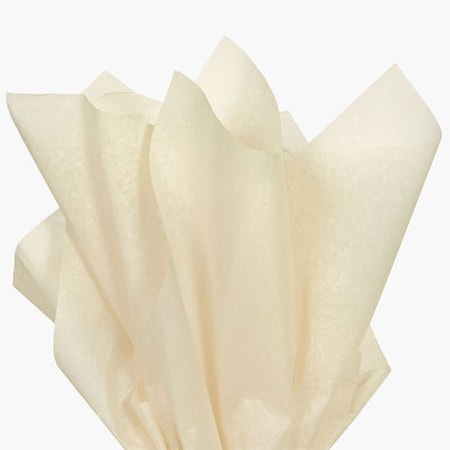 Nashville Wraps Dune Beige Color Tissue Paper, 20x30, 24 Soft Fold Sheets, 24PK CTQDN